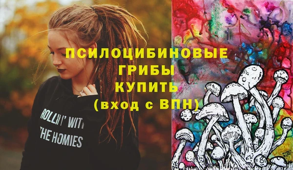 сатива Заволжск